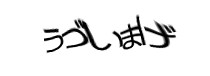 認証画像