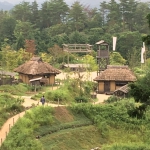 1505090983248.jpg