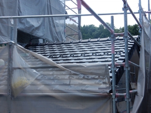 DSCN2385.JPG