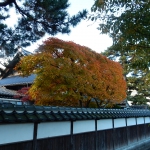 DSCN5991.JPG