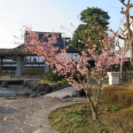 IMG_1850.JPG