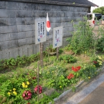 IMG_1986.JPG