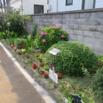 IMG_1987.JPG