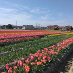 IMG_20230402_094125.jpg