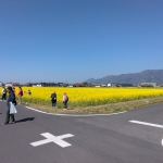 IMG_20230402_101002.jpg