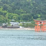 IMG_20230505_114824.jpg