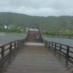 IMG_20230506_132659.jpg
