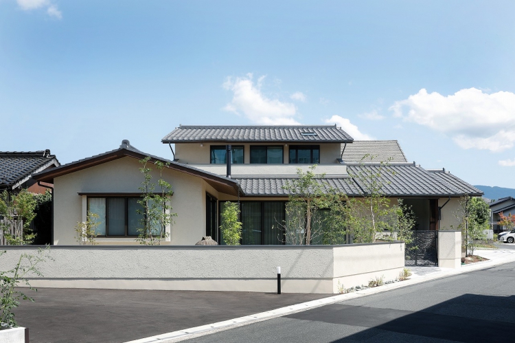 Plaster House